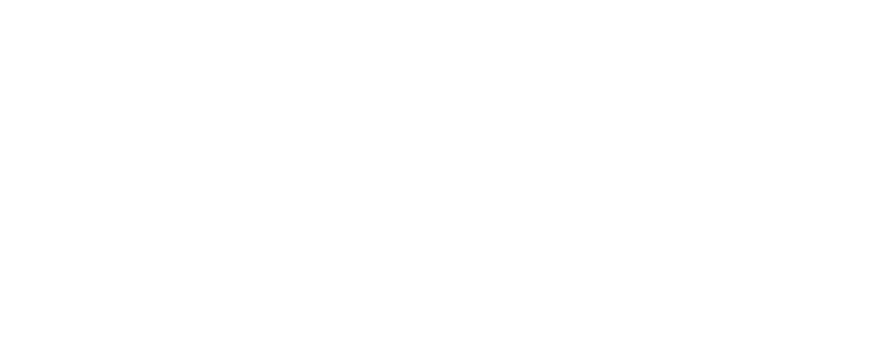 Bluvacanze - Client of Linear Dynamics